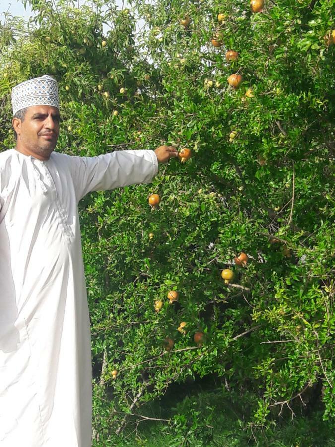 Abu Omair Jabal Shams House Hotell Al Ḩamrāʼ Exteriör bild