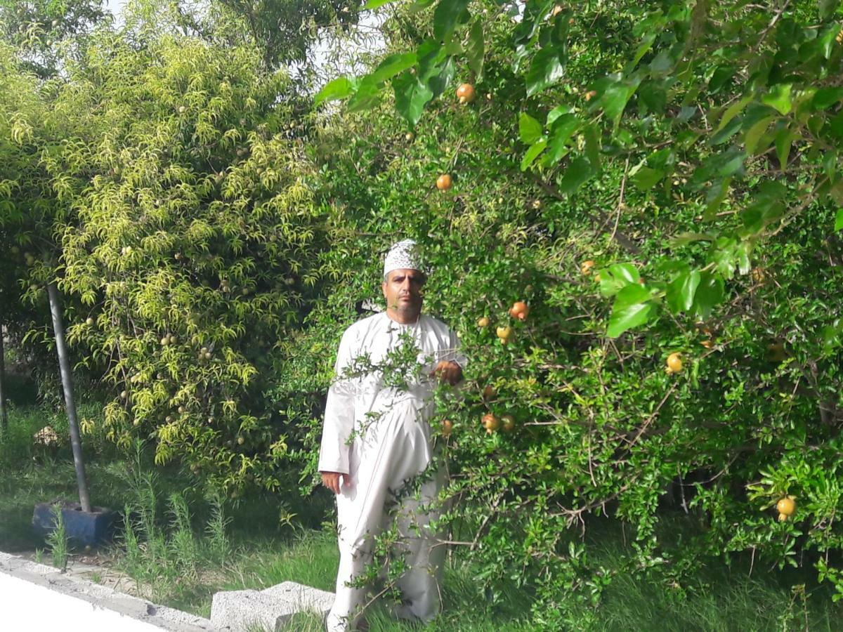 Abu Omair Jabal Shams House Hotell Al Ḩamrāʼ Exteriör bild